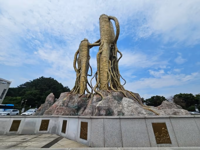 Geumsan, Korea, the ginseng capital